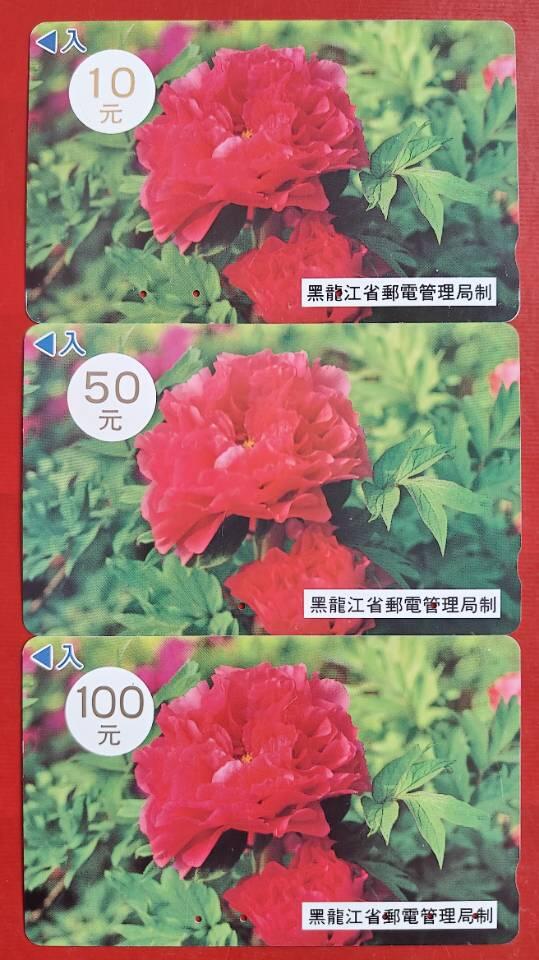 黑龙江田村卡大红花