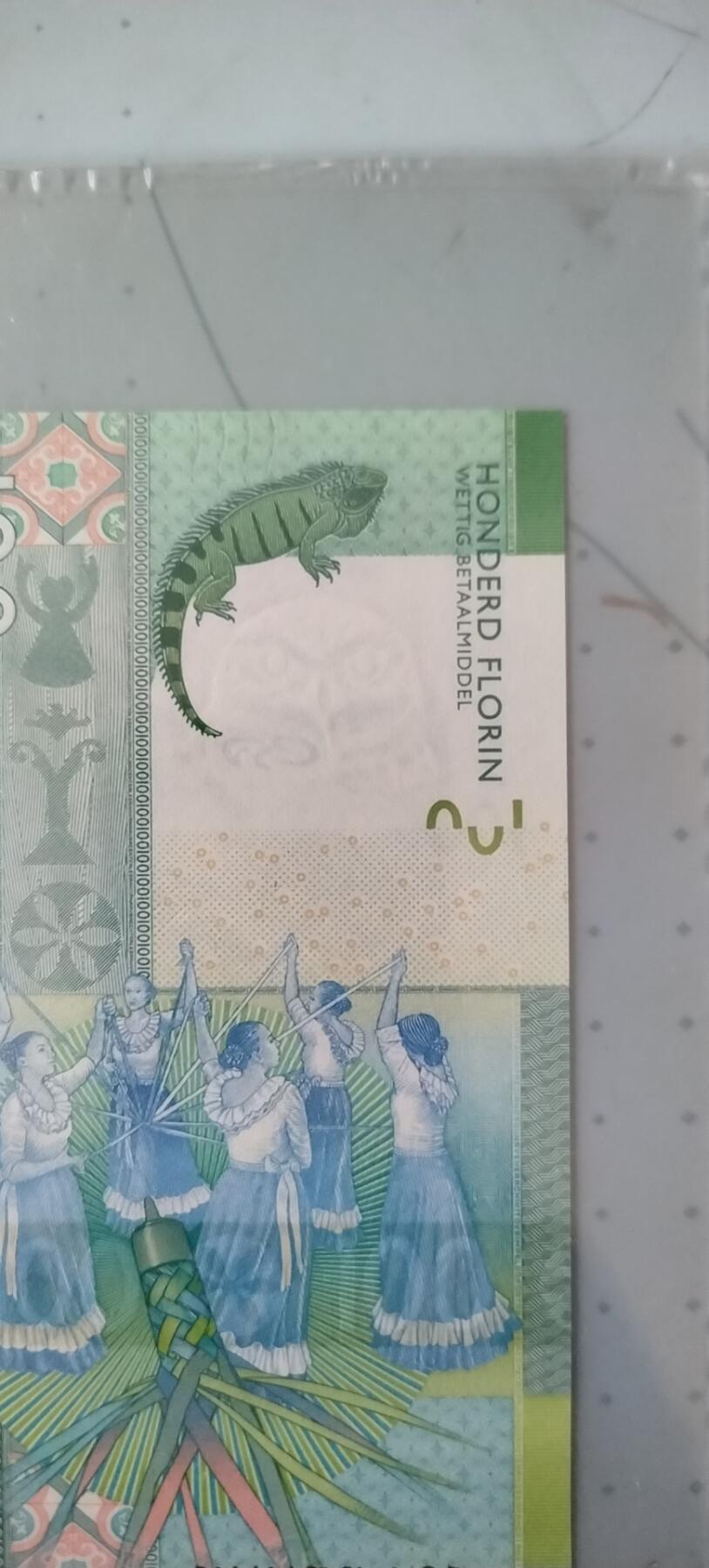 阿鲁巴100弗罗林纸币，正面是一只栩栩如生的美洲鬣蜥，仿佛正悠闲地漫步在阿鲁巴的热带雨林中。上方的金