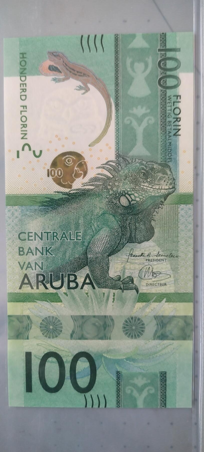 阿鲁巴100弗罗林纸币，正面是一只栩栩如生的美洲鬣蜥，仿佛正悠闲地漫步在阿鲁巴的热带雨林中。上方的金