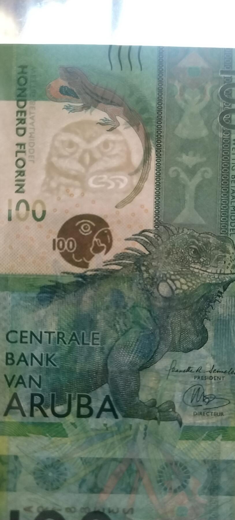 阿鲁巴100弗罗林纸币，正面是一只栩栩如生的美洲鬣蜥，仿佛正悠闲地漫步在阿鲁巴的热带雨林中。上方的金