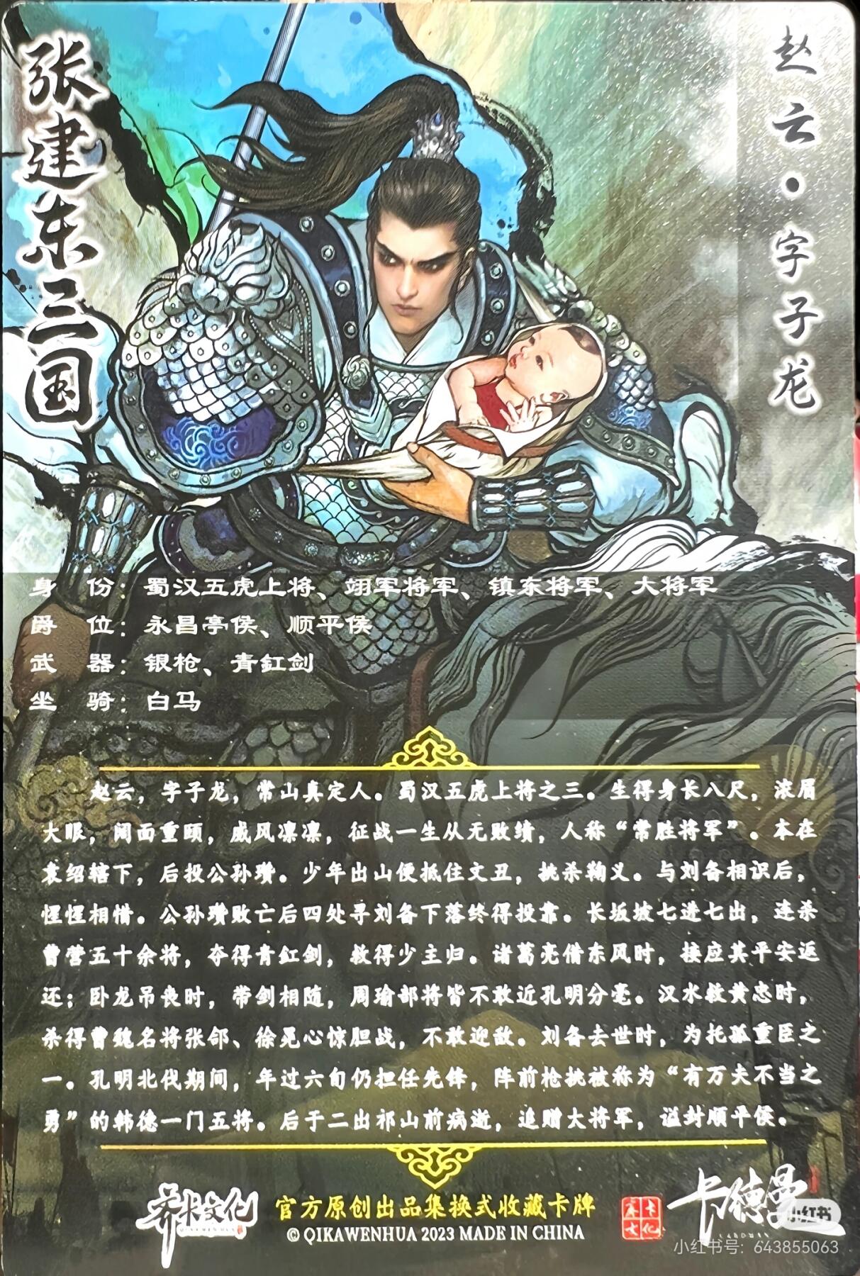 张建东三国--赵云- 随风流浪- 麦稀奇