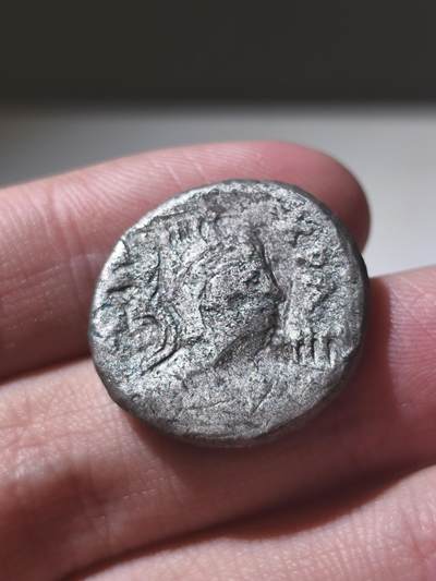 星盘世界钱币周年大拍抽奖