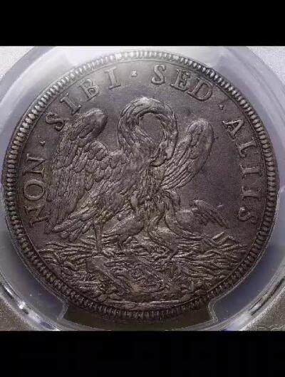 教皇国鹈鹕银币