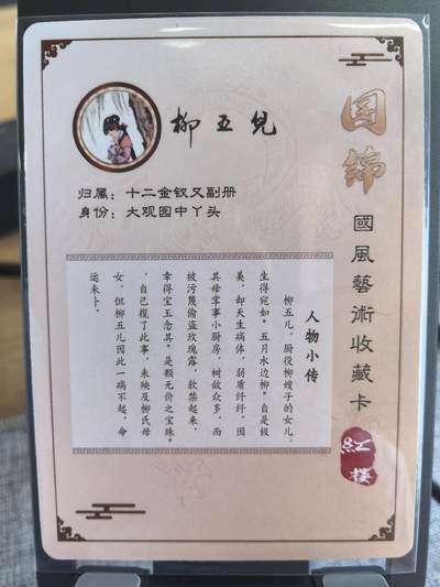 《梦回红楼》-柳五儿
