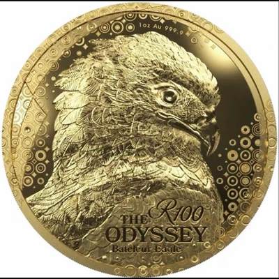 2026年度世界硬币大奖最佳金币10个提名之七、南非金币，天空漫游：短尾雕