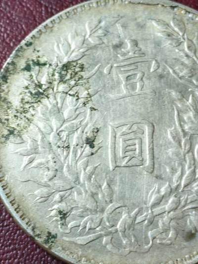大头一一枚