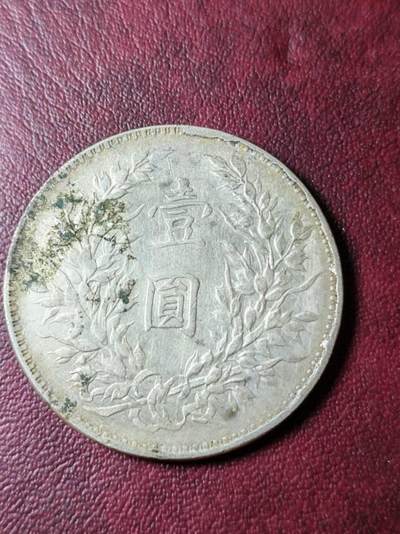 大头一一枚