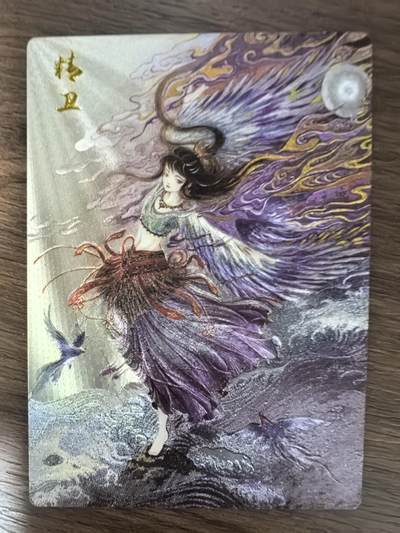 《鹿鸣山海》-精卫