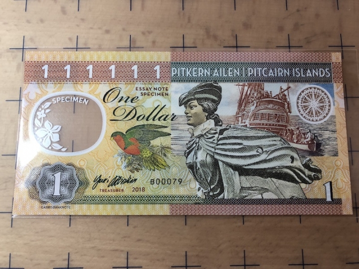 收藏联盟第六十四期拍卖 塑料钞测试钞一枚