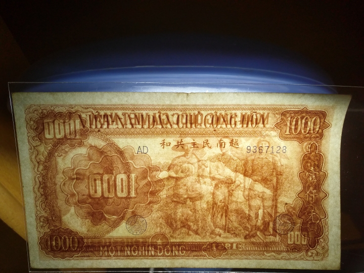 "鲸贝"乐淘第洪号拍卖 1951年越南1000元，流通品，中国代印