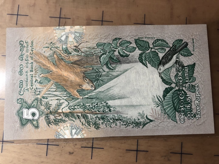 收藏联盟第六十九期拍卖裸钞场 斯里兰卡锡兰795 unc-透光有黄斑