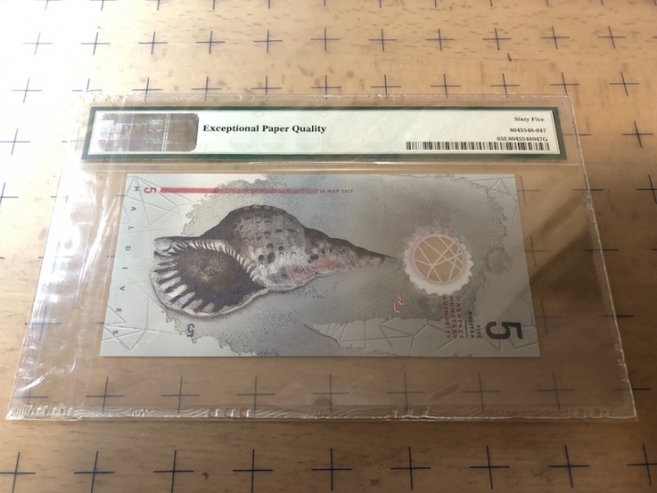 收藏联盟第七十期拍卖 马尔代夫175 塑料钞豹子号 PMG65E