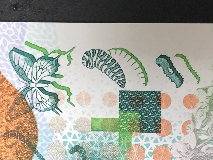 收藏联盟第七十二期拍卖 蝴蝶测试钞5张连号绝品UNC