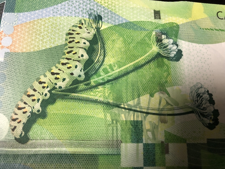 收藏联盟第七十二期拍卖 蝴蝶测试钞5张连号绝品UNC