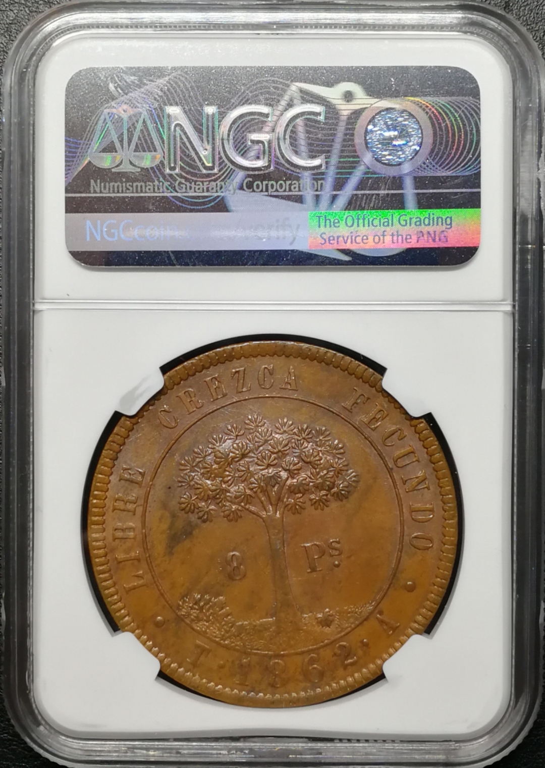 凡希社世界钱币微拍第七十四期 1862洪都拉斯8P铜样NGC-MS63稀少