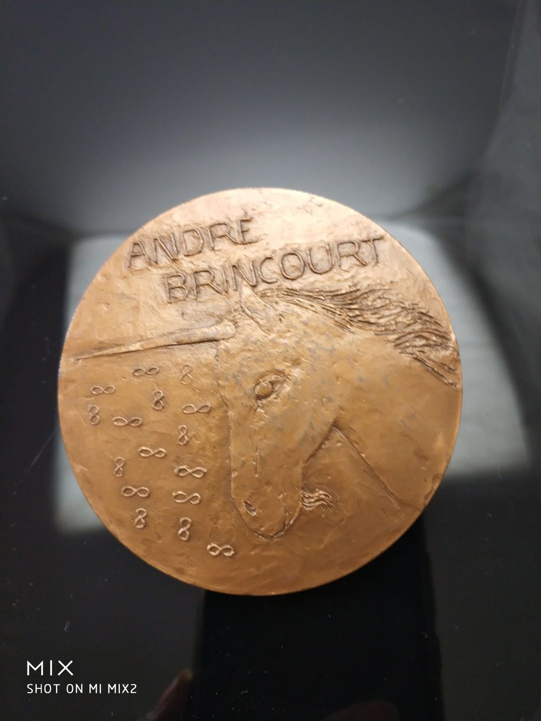 雕塑与币章 法国原版安德烈布兰古作家