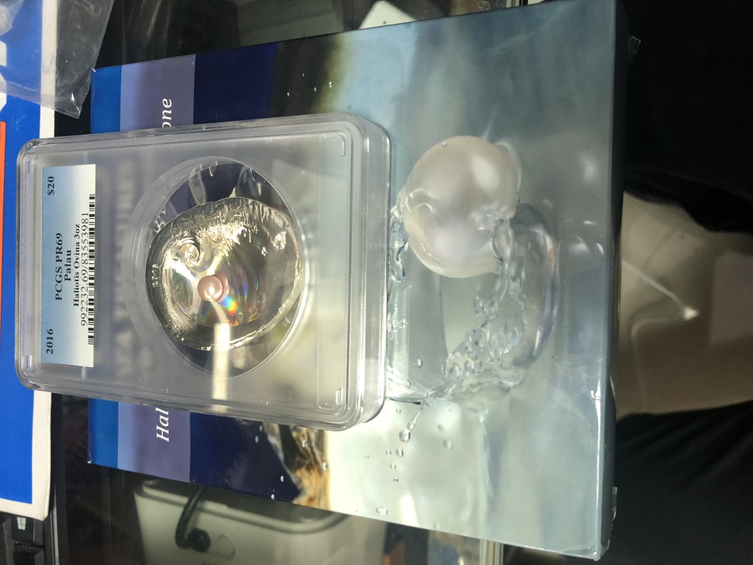 【随心拍】现代金银币拍卖第八期 PCGS PR69分  2016年帕劳羊耳鲍珍珠镶嵌精制获奖银币.3盎司