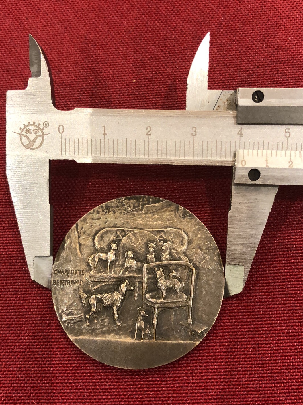 麦朵尔俱乐部成立4周年拍卖活动 犬博览会