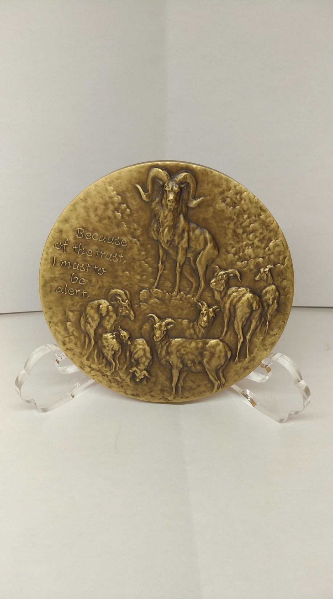 麦朵尔俱乐部成立4周年拍卖活动 73羊