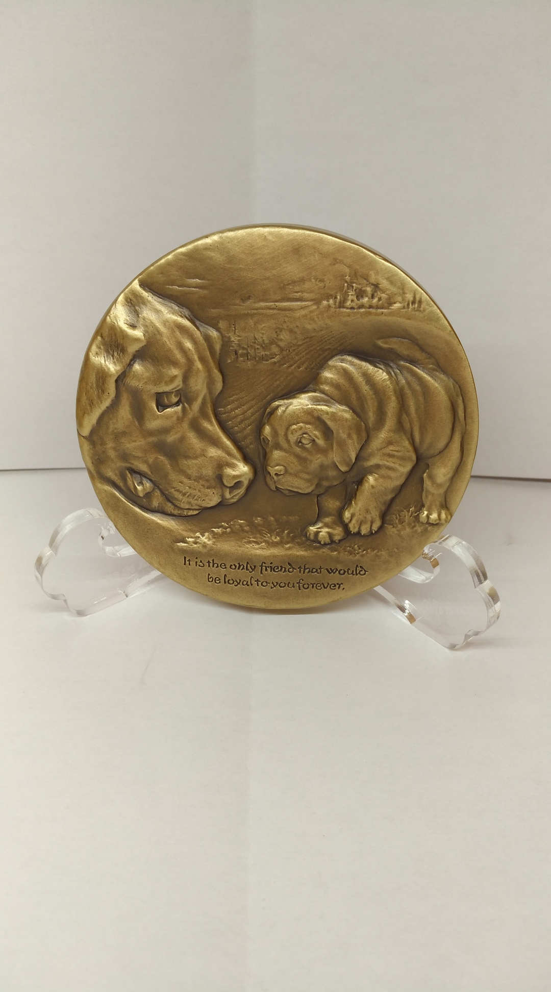 麦朵尔俱乐部成立4周年拍卖活动 73狗