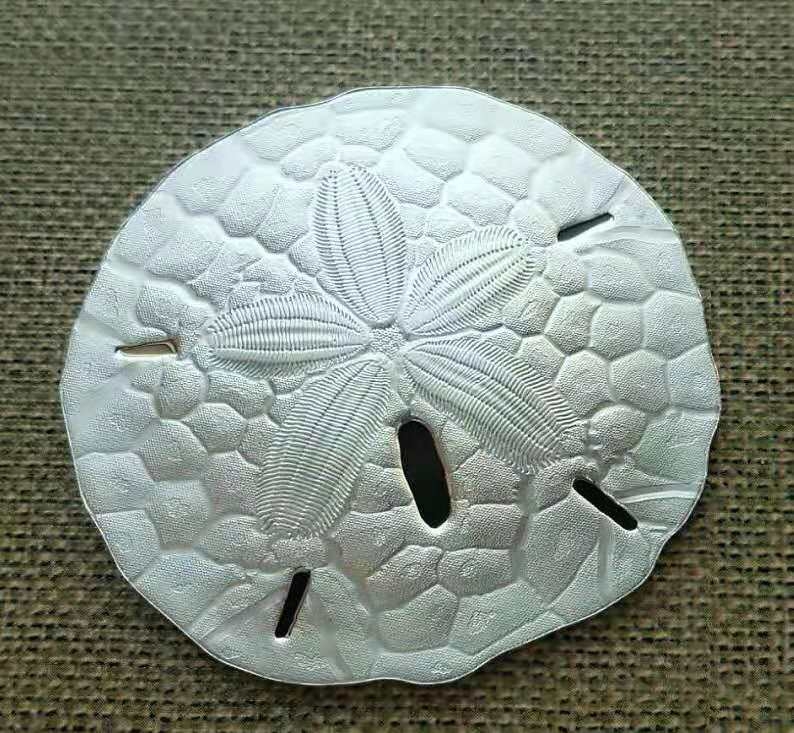 【随心拍】现代金银币拍卖第十一期 帕劳2017年海胆沙钱仿真超薄大银币