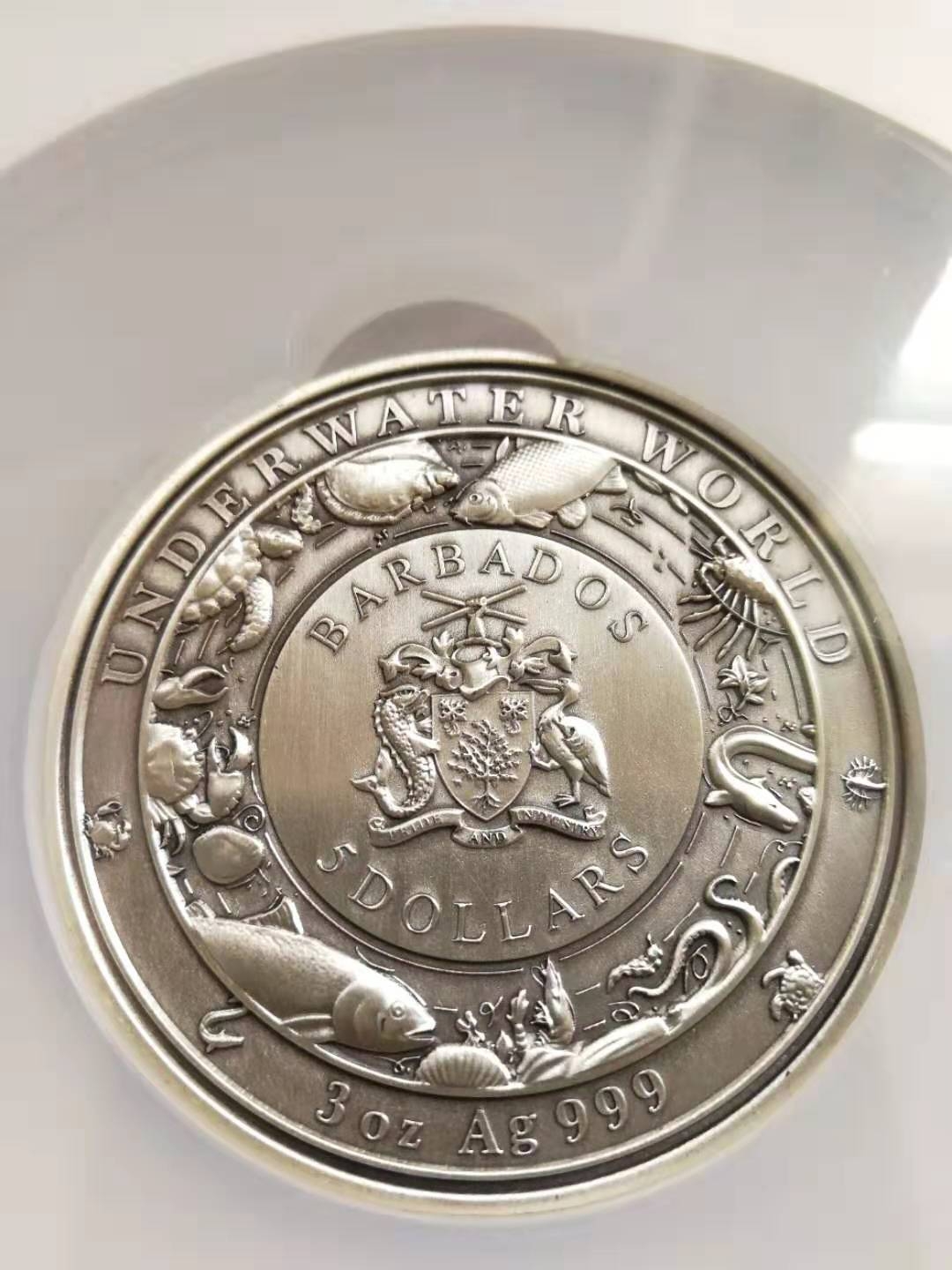 【随心拍】现代金银币拍卖第十二期 【巴巴多斯】3oz银币海龟【ngc69】