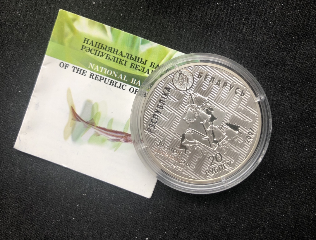 【币观天下第六十六期拍卖】 【白俄罗斯】2007年发行自然保护系列之小体鲟鱼纪念银币