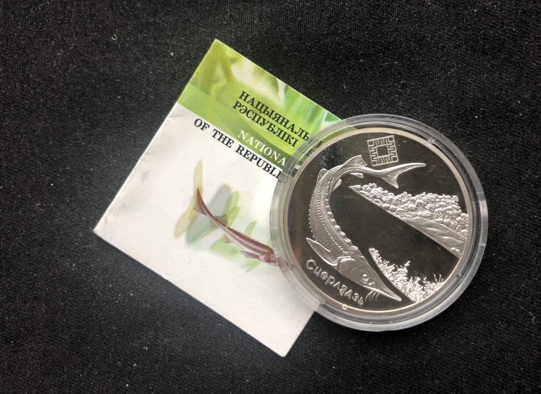 【币观天下第六十六期拍卖】 【白俄罗斯】2007年发行自然保护系列之小体鲟鱼纪念银币