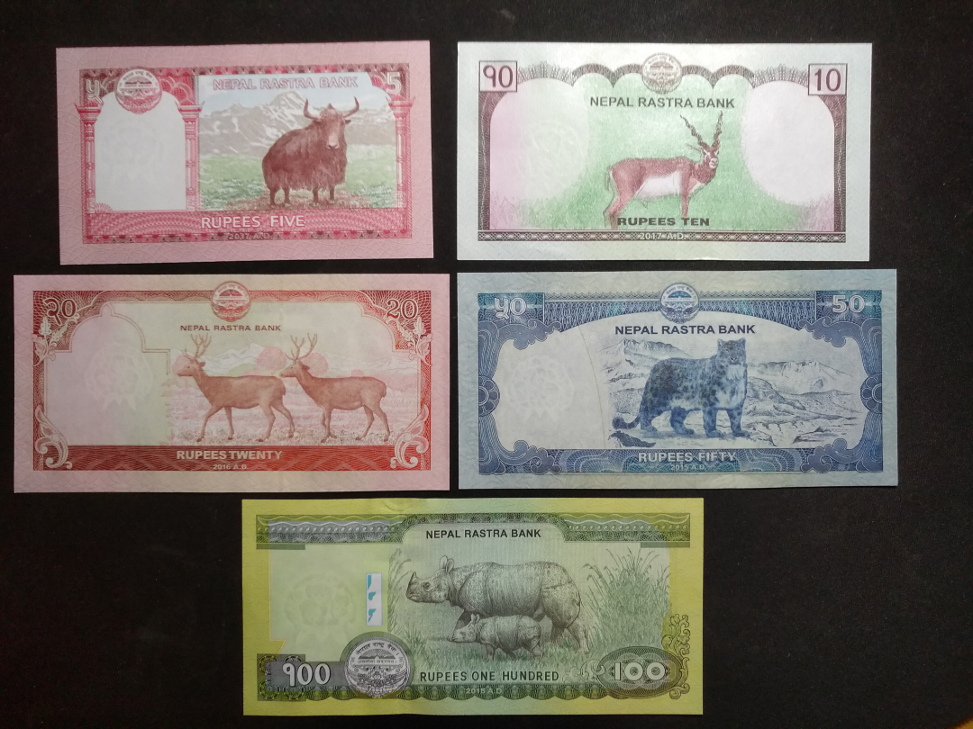 【鲸贝乐淘】千字文·第收号拍卖·CICE北京展销会专场 【中国代印】尼泊尔小套+阿尔巴尼亚1964小套，全新全品