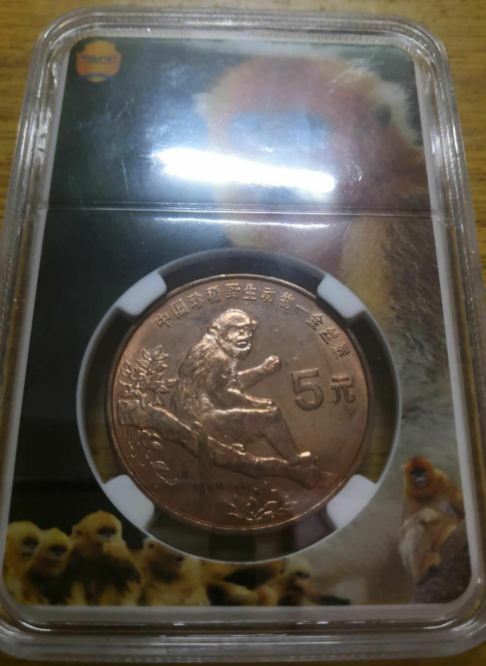 【鲸贝乐淘】千字文·第冬号拍卖 【纪念币】TACC专利全景评级封装1995年中国野生珍惜动物金丝猴纪念币