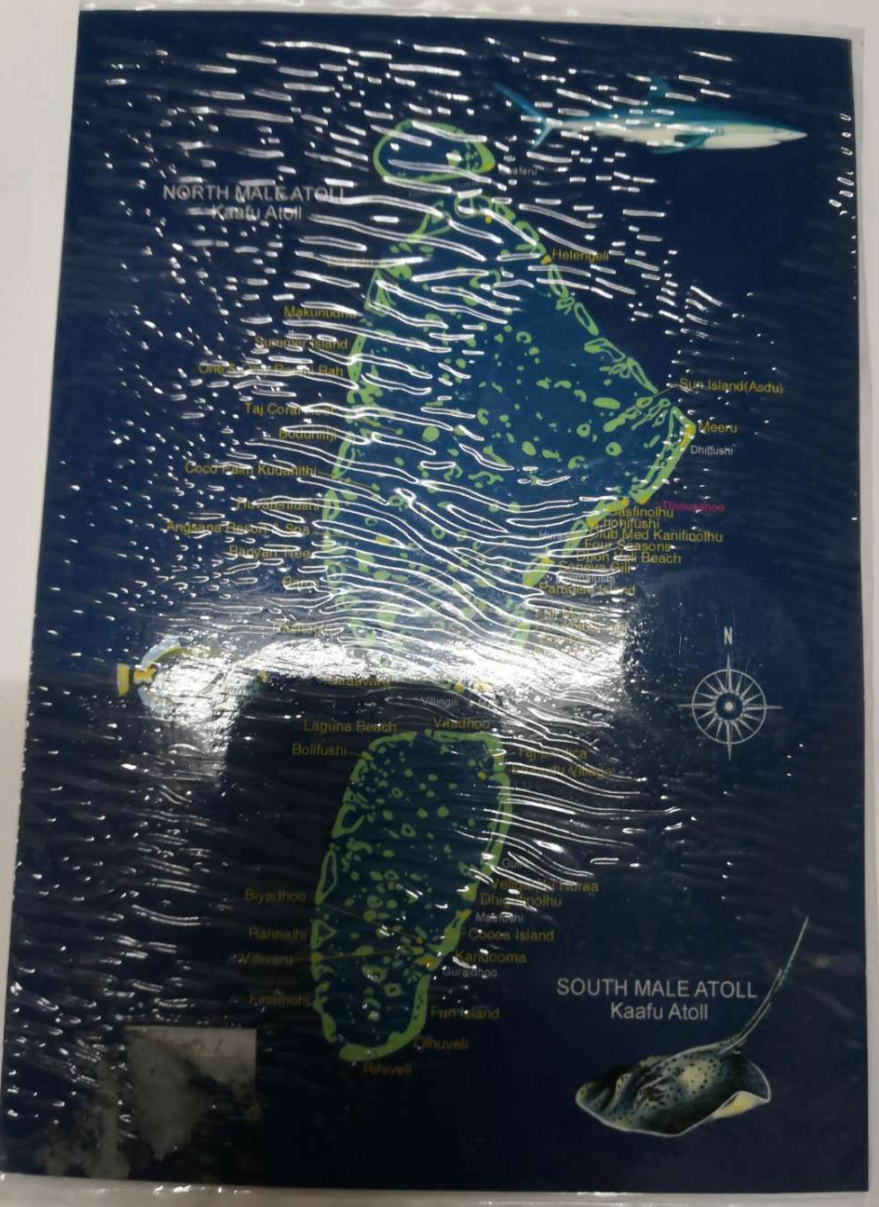 【鲸贝乐淘】千字文·第藏号拍卖 【硬币】马尔代夫硬币一套