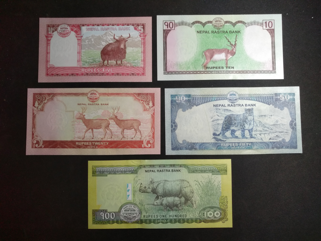 【鲸贝乐淘】千字文·第藏号拍卖 【中国代印】1976年阿尔巴尼亚小套+尼泊尔小套5，100中国代印，全部全新全品UNC, 精美漂亮