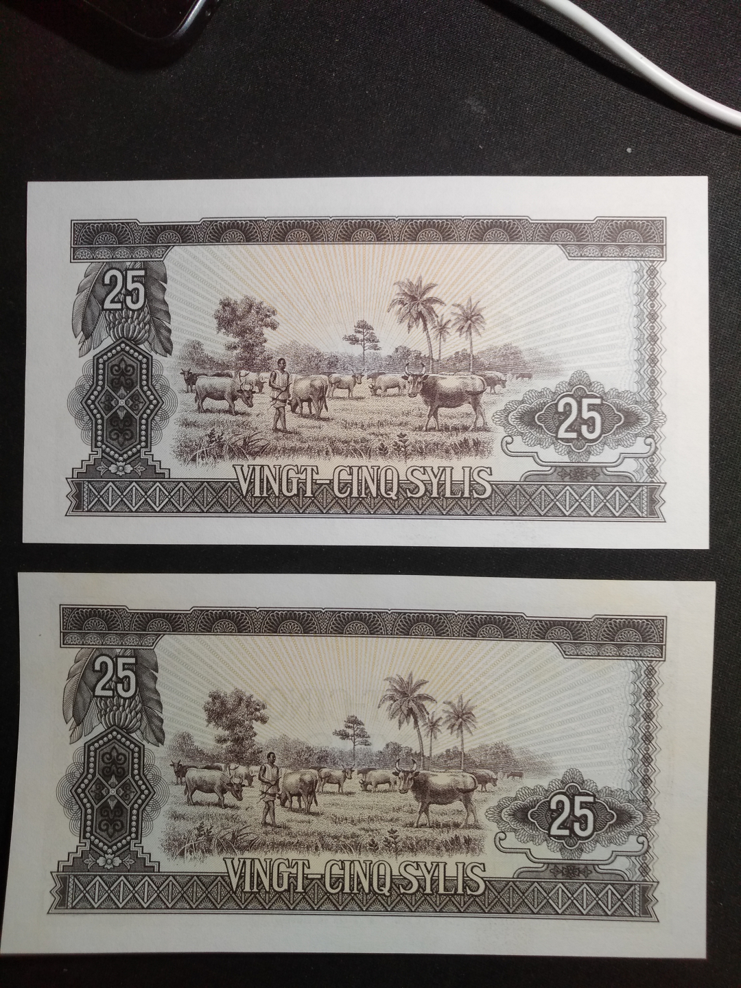 【鲸贝乐淘】千字文·第藏号拍卖 【中国代印】1971年几内亚25元，两张一起UNC 