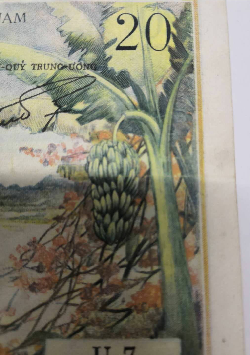 【鲸贝乐淘】千字文·第闰号拍卖 【印度支那】1956年法属 南越 越南20盾纸币香蕉树，流通品。8尾好号。