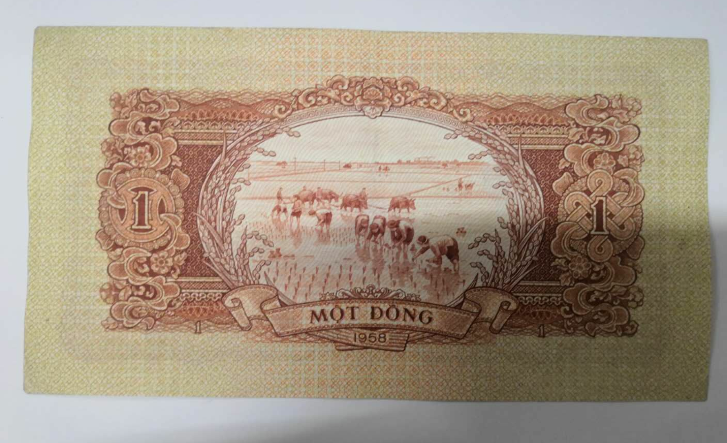 【鲸贝乐淘】千字文·第闰号拍卖 【中国代印】越南1958年1盾  中国代印 五角星水印 流通品 