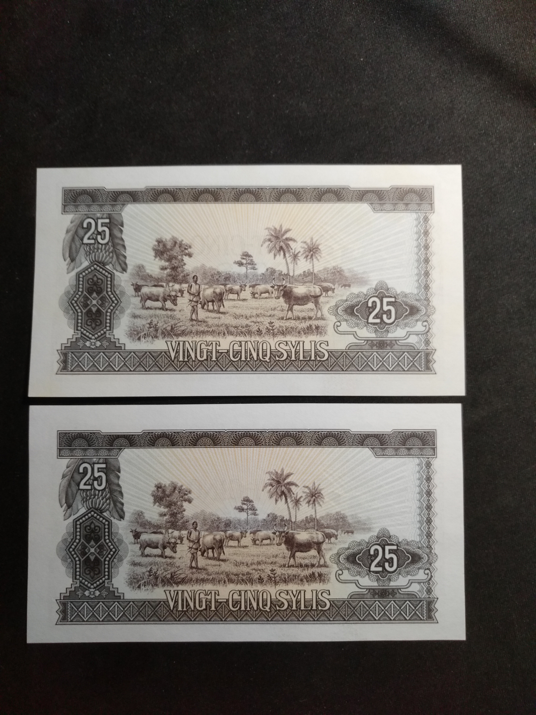 【鲸贝乐淘】千字文·第闰号拍卖 【中国代印】1971年几内亚25元，两张全新全品UNC 