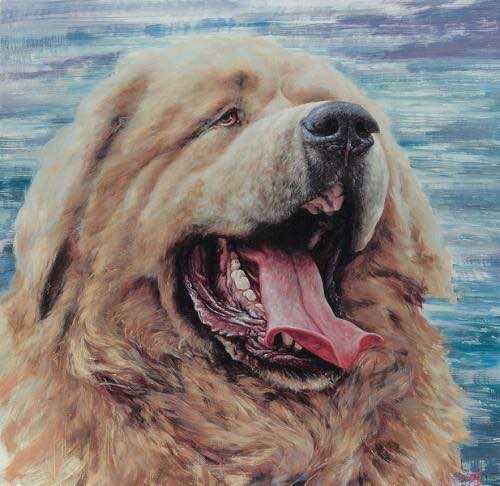 麦朵尔俱乐部第六场——上海钱币博览会专场拍卖 藏獒