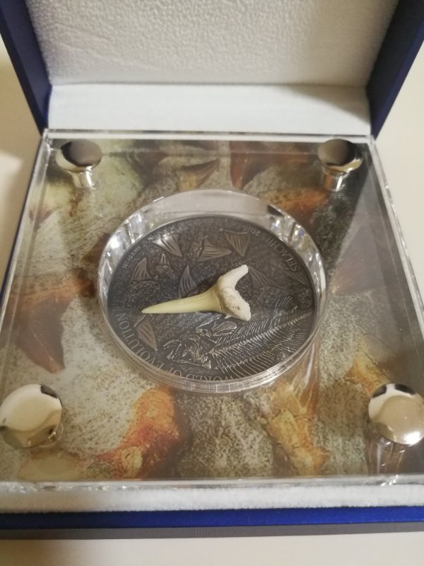 【币观天下】第七十三期拍卖 布基纳法索2016年镶嵌鲨鱼牙齿化石银币