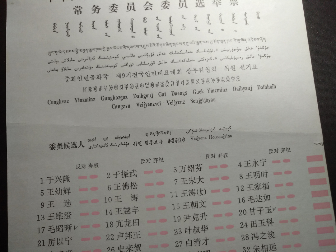 【鲸贝乐淘】千字文·第“律吕调阳”号拍卖 【票样】第九届人大常委会选举票样，内部流出，稀有难得