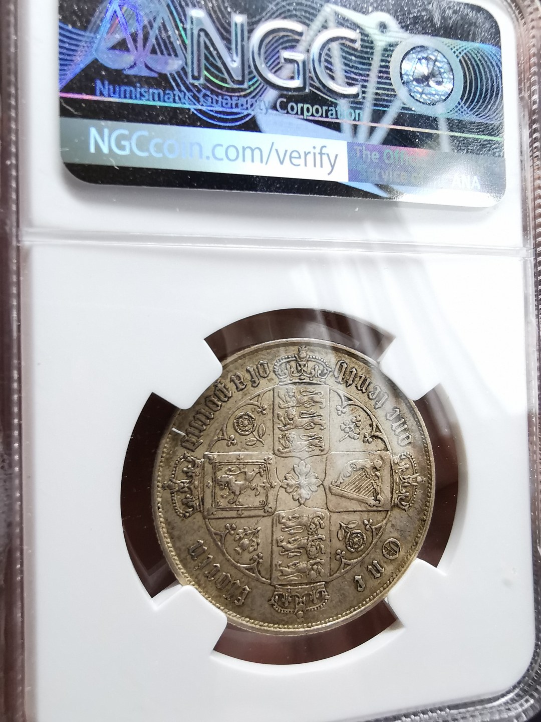 凡希社世界钱币微拍第九十三期 1864小维佛罗林NGC-AUD