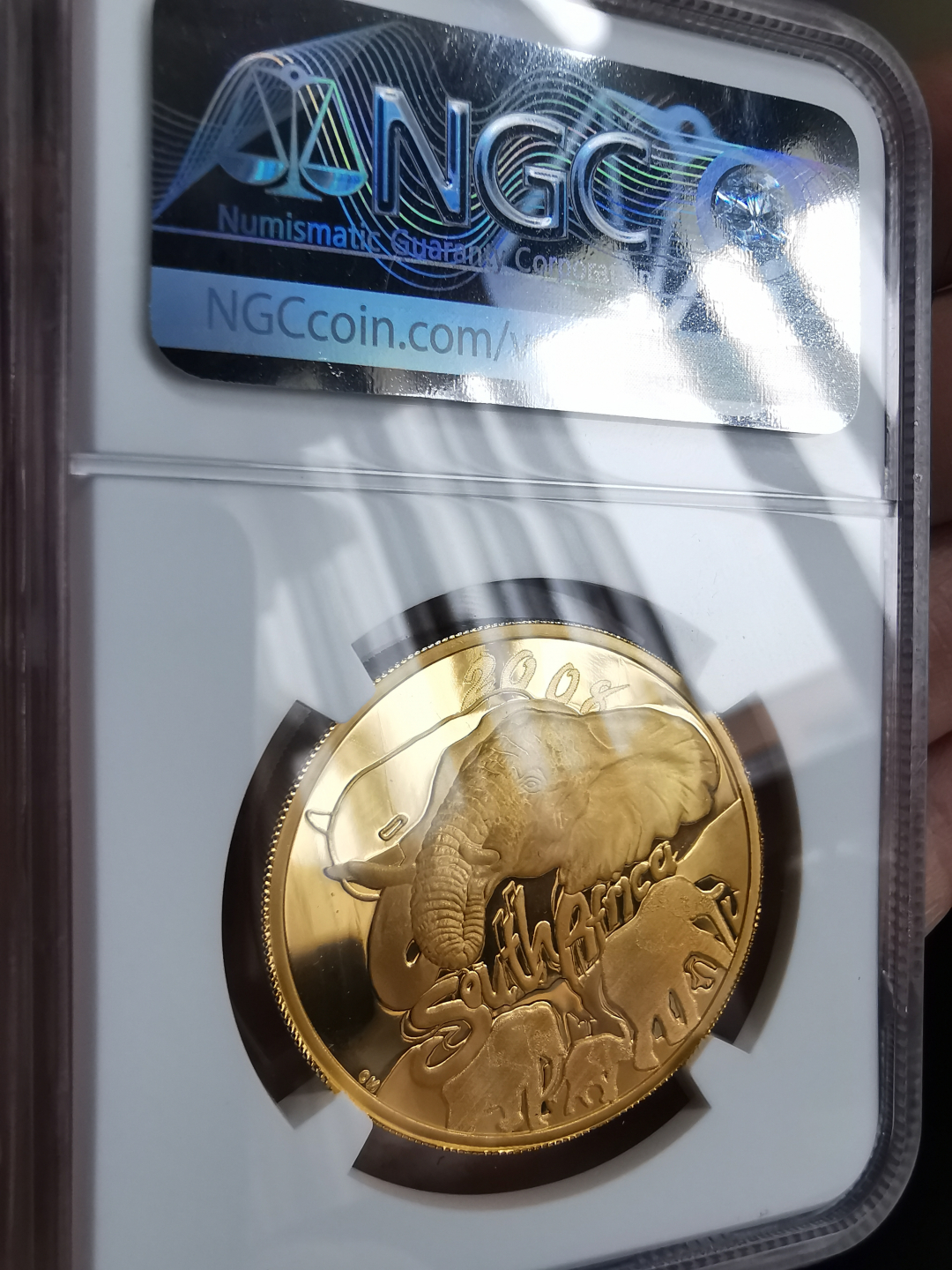 凡希社世界钱币微拍第九十三期 稀！2008南非野象金币一盎司NGC-PF69UC