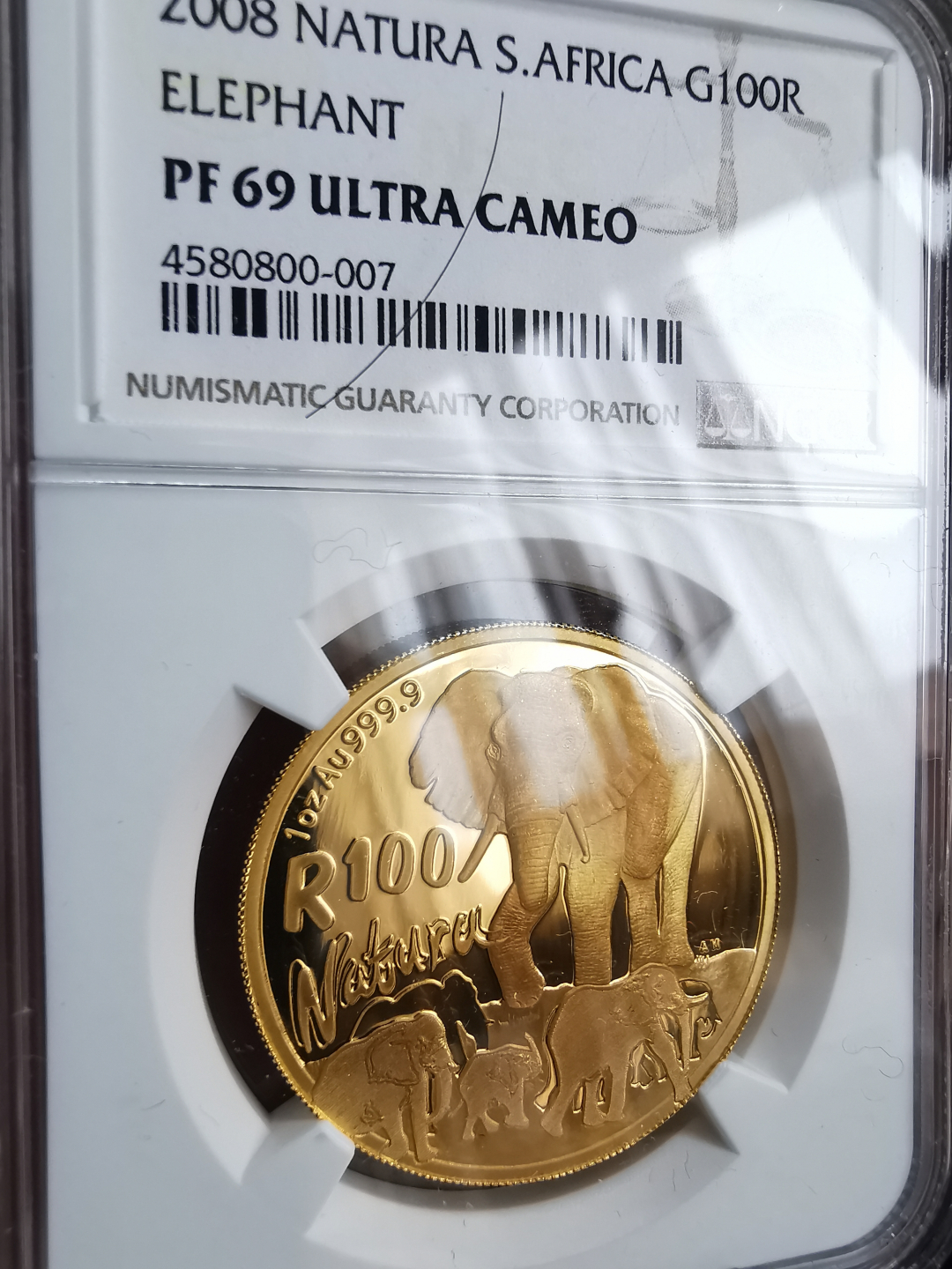 凡希社世界钱币微拍第九十三期 稀！2008南非野象金币一盎司NGC-PF69UC