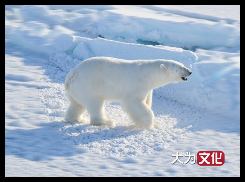 【大为文化】    世界纸币 / 夏拍    【2019】 格陵兰岛纸币（丹属）  5克朗 P-18a 1953  PMG 66EPQ