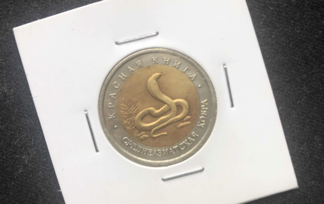 【币观天下】第七十七期拍卖 【俄罗斯】1992俄罗斯蛇双色铜币