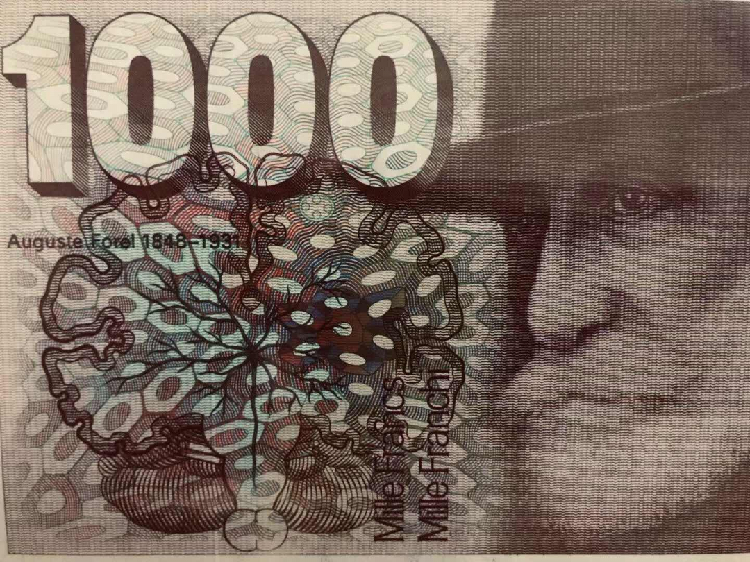 收藏联盟第九十七期拍卖 1993年瑞士大蚂蚁1000瑞郎 PMG65E