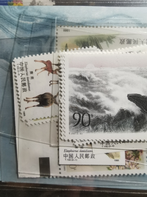 【鲸贝乐淘】★广州CICE展销会专场★ 千字文·第“果珍李柰”号拍卖 【年票】1988年全年邮票，带带小型张，小全张，有无齿麋鹿套票，全新全品