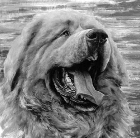 喜迎国庆70周年，艺术麦朵尔（纪念章）拍卖（CICE） 藏獒