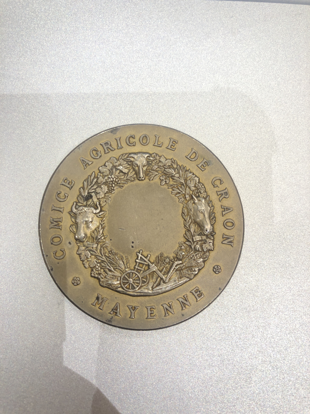 喜迎国庆70周年，艺术麦朵尔（纪念章）拍卖（CICE） 农妇