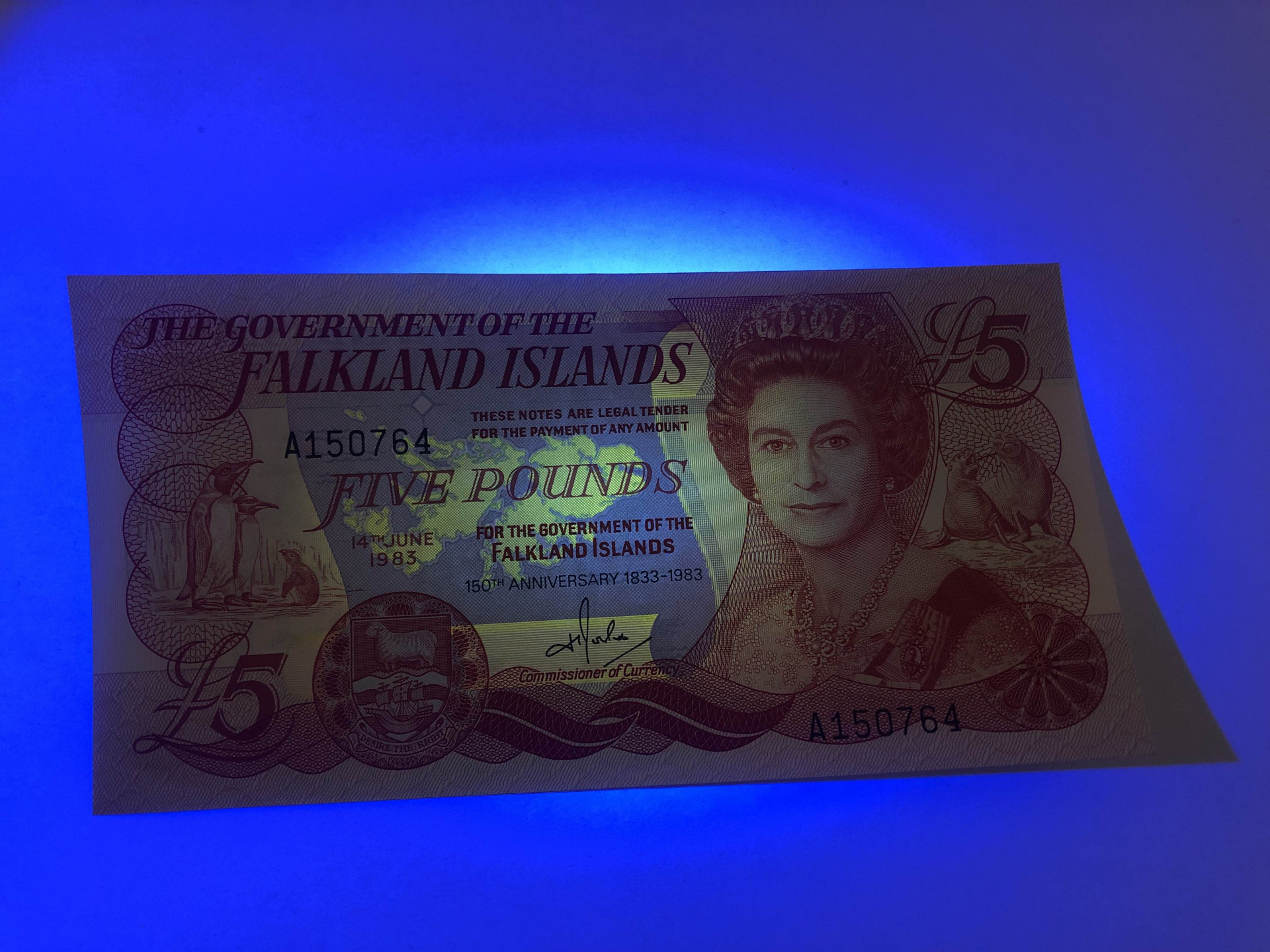 【收藏联盟】第101期拍卖——开启新纪元 福克兰群岛 1983年 5镑 全新UNC 女王纸币