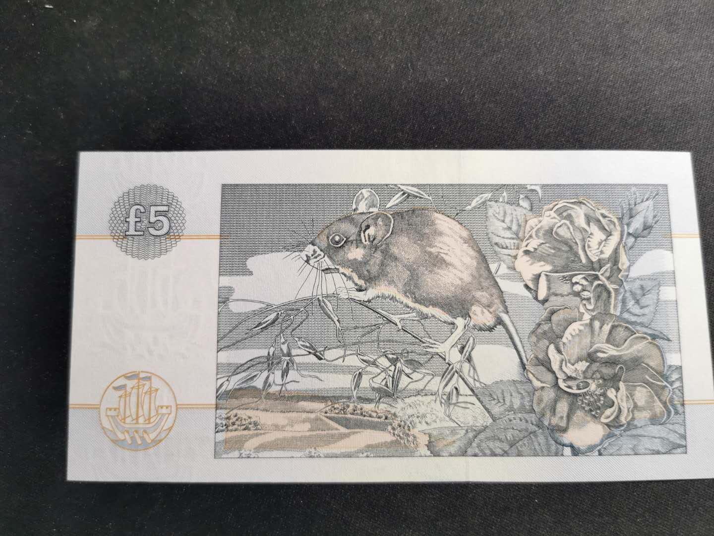 【鲸贝乐淘】千字文·第“海咸河淡”号拍卖 【苏格兰】1994年5磅，全新品相，测光有道折痕